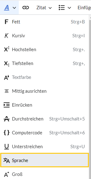 BITV-content-html-lang.png