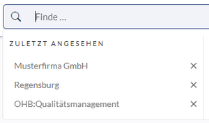 Suchfeld des Wikis mit 3 zuletzt angesehenen Seiten
