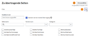 contentTransfer Seitenfilter.png