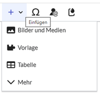Ausgeklapptes Einfügen-Menü des visuellen Editors