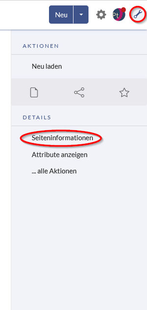 Screenshot der Aktionen mit Markierten Seiteninformation und Seitenwerkzeug