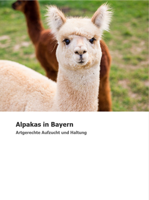 Coverpage Beispiel mit Alpaka Coverbild