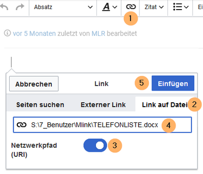 Dialog feld zum Erstellen eines Links auf eine Datei moit Netzwerkpfad