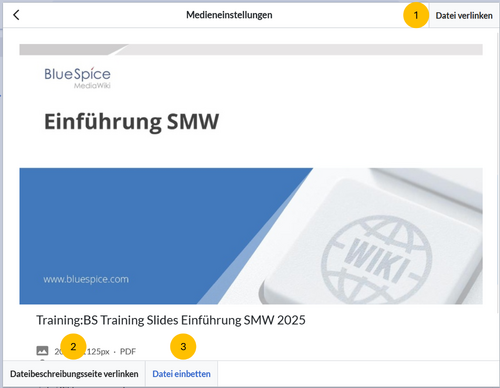 Dialogfenster für die Einbettung von Dateien mit den 3 beschriebenen Optionen