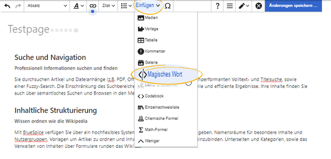 Menüpunkt Magisches Workt im visuellen Editor