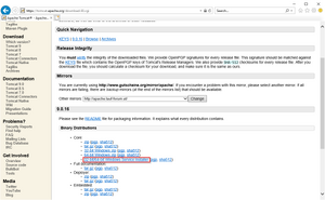 Setup:Tomcat Download 02.png