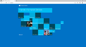 Setup:systempreparation iis 11.png