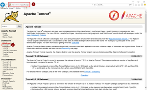 Setup:Tomcat Download 01.png