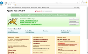 Setup:Tomcat Check 01.png