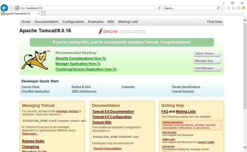 Datei:Setup:Tomcat Check 01.png