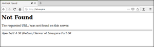 Setup:apache not found.png